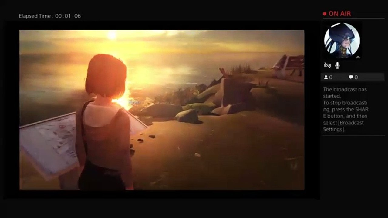 Life is strange (36)