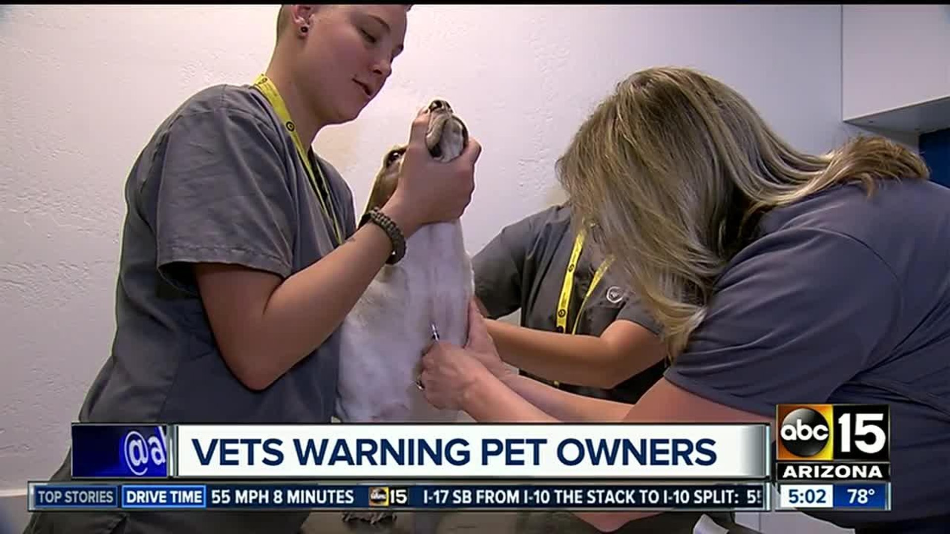 ⁣Veterinarians warning pet owners about dangers of leptospirosis