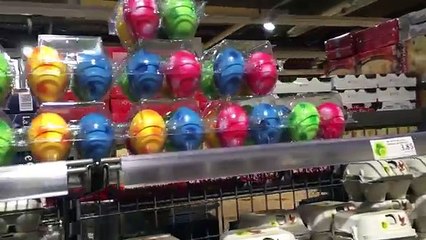 Expérience : des oeufs éclôt du supermarché !
