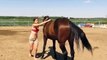 Un cheval donne un coup de main à une fille pour le monter