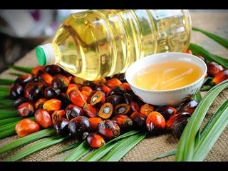 Dois-je privilégier les laits infantiles sans huile de palme ?