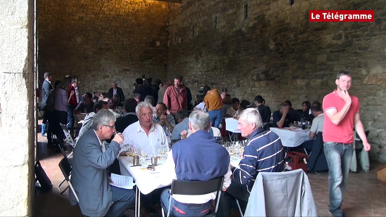 Quimper. 30 producteurs au 3e concours régional de produits cidricoles