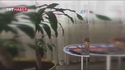 Ege Denizi'ndeki deprem anı kamerada