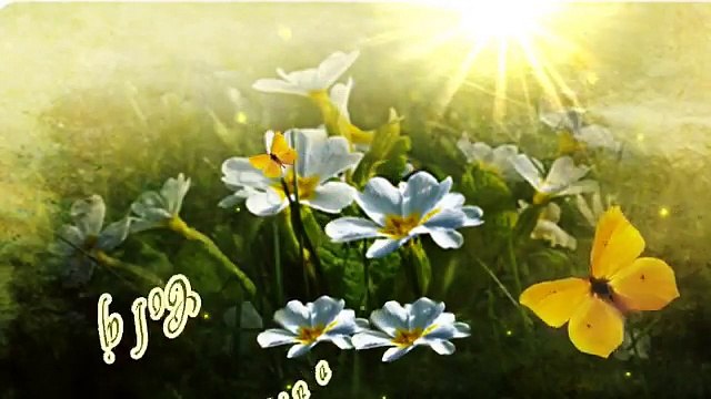 GRUPUL HARUL - COLAJ DE CANTARI CRESTINE O ORA DE MUZICA CRESTINA MINUNATA