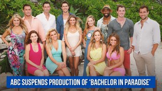 ABC Suspends Production Of ‘Bachelor In Paradise’ Over ‘Allegations Of Misconduct’