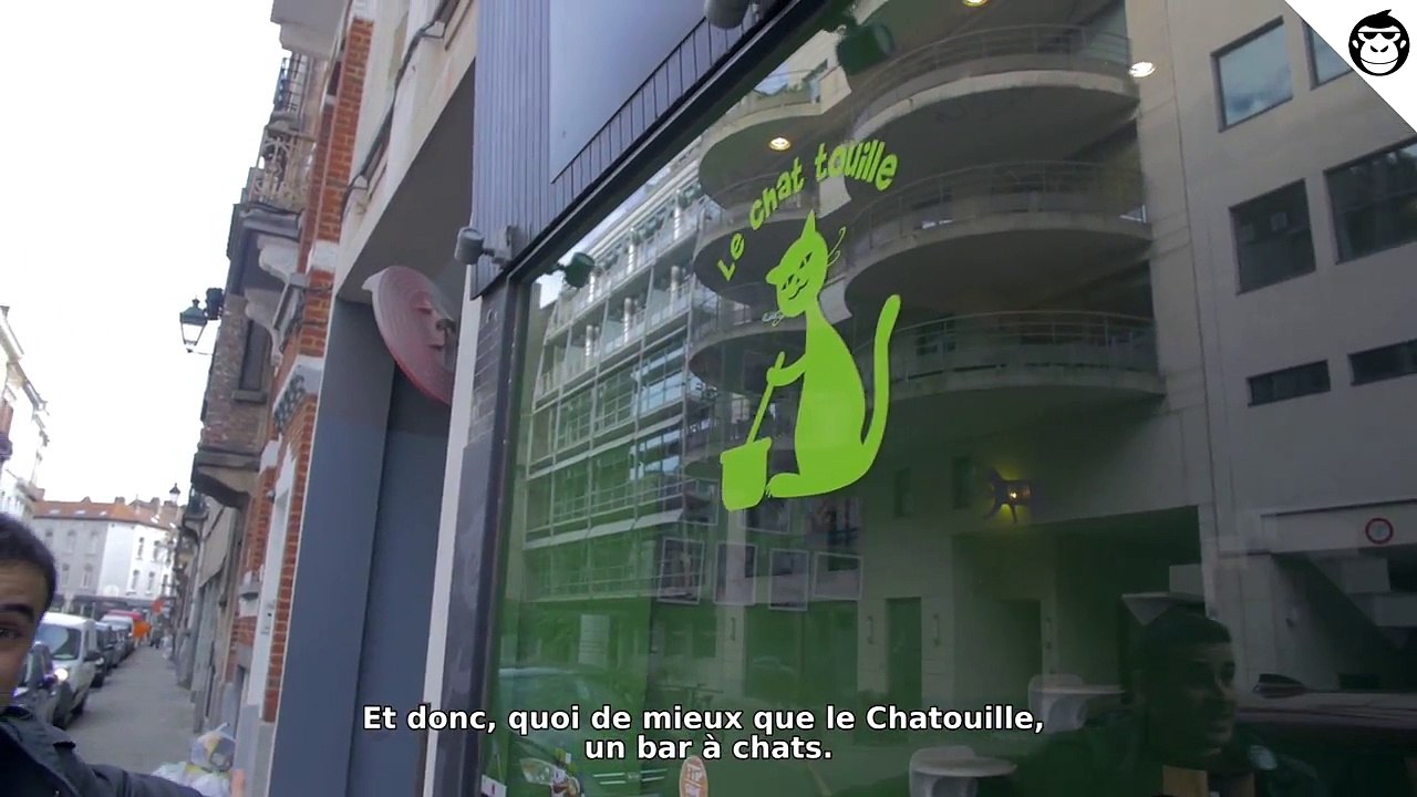 Journée mondiale des câlins... avec des chats!