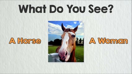 12 ILLUSIONS THAT WILL TEST YOUR BRAIN