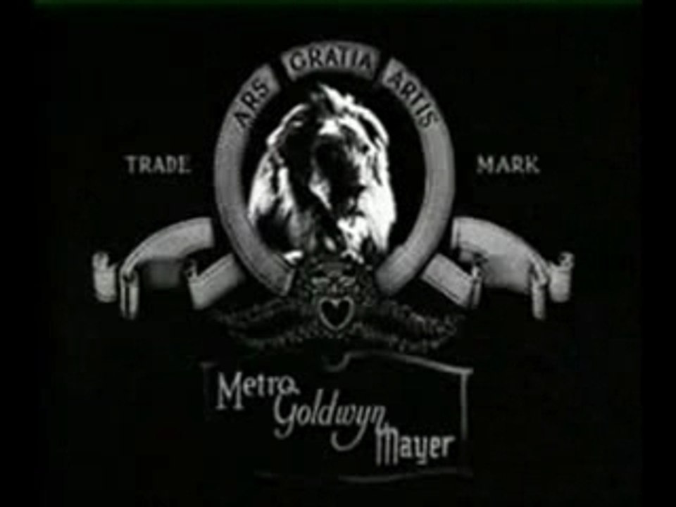 Lionmgm640