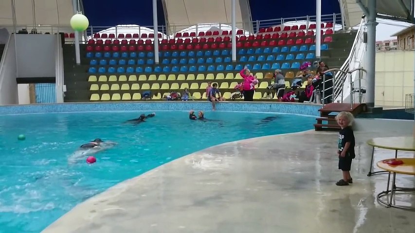 Un enfant joue au ballon avec un dauphin - Vidéo Dailymotion