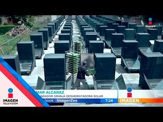 Así se dejan de emitir 6 toneladas de CO2  | Noticias con Francisco Zea