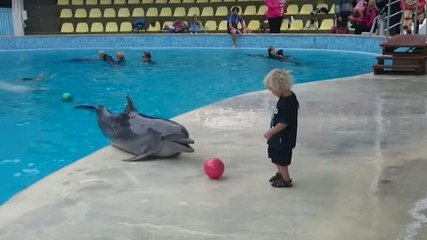Un enfant joue au ballon avec un dauphin