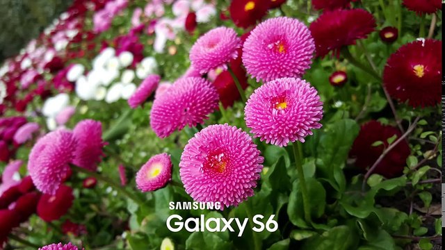 Sony Xperia Z5 vs Samsung Galaxy S6