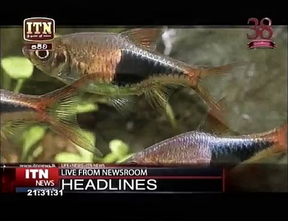 itn news 9.30 12:06:2017