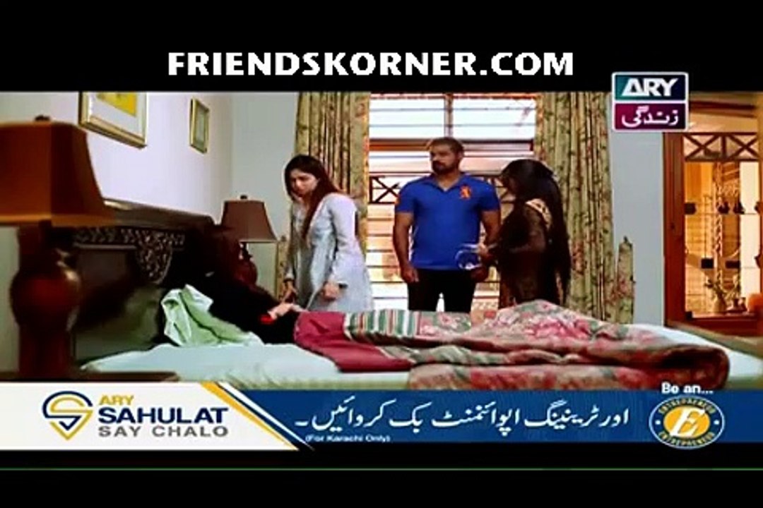 Haya Ke Rang Episode 101