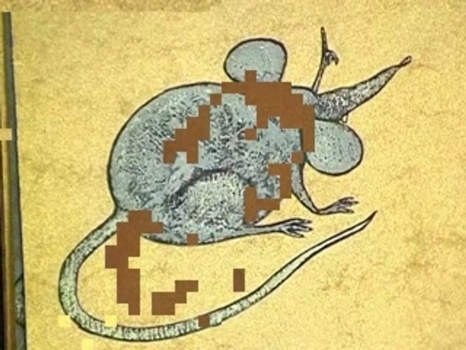 Rafara_2003_2004