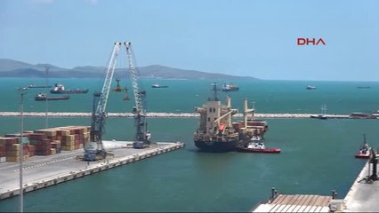 Balıkesir Marmara'daki Renk Değişimi Balık Bolluğuna Neden Olacak