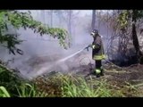 Falconara (AN) - Incendio di sterpaglie sulla superstrada (12.06.17)
