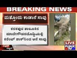 Another Elephant Dies In Ramanagar District