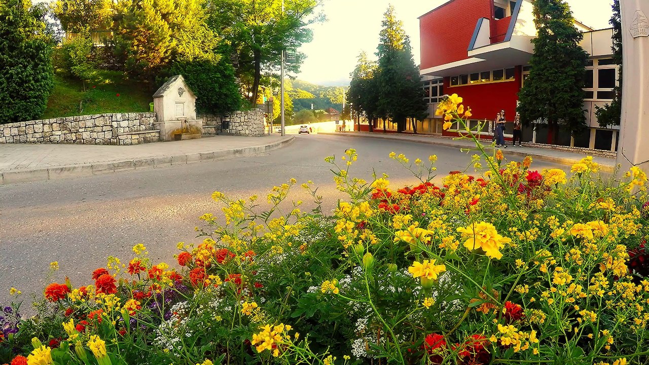 Kako ću ja bez tebe......Konjic