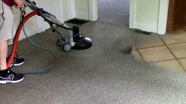 Cyclone Carpet Care - (781) 281-8480