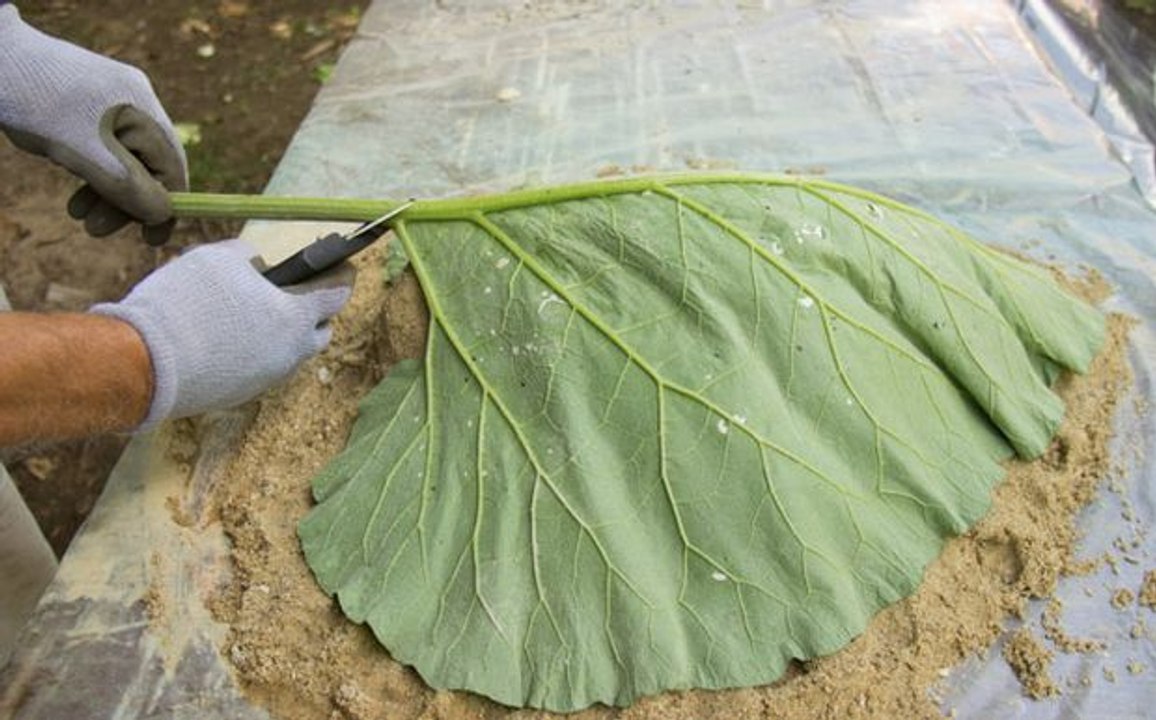 Betonski listovi