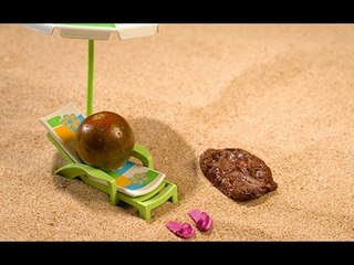 Qu'est-ce que le cancer de la peau?