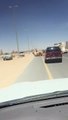 Deux dromadaires s'accouplent sur l'autoroute (Qatar)