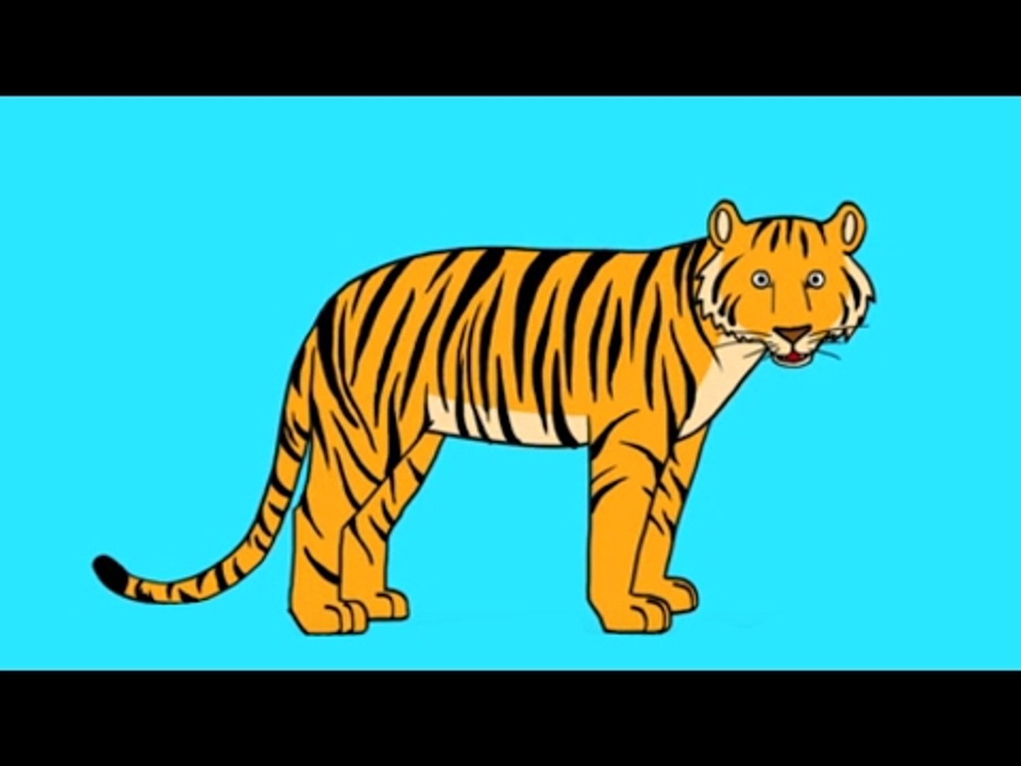 Comment Dessiner Un Tigre Facilement Apprends à dessiner un tigre en 3 étapes ! - Vidéo Dailymotion