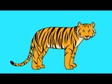 Apprends à dessiner un tigre en 3 étapes !