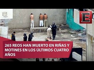 Más de 200 reos asesinados en los últimos cuatro años