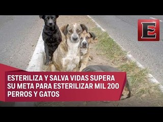 Campaña Esteriliza y Salva Vidas, busca recaudar 300 mil pesos