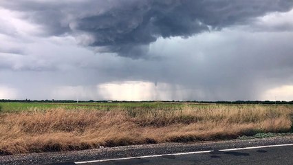 Lightning Strikes in Northern California