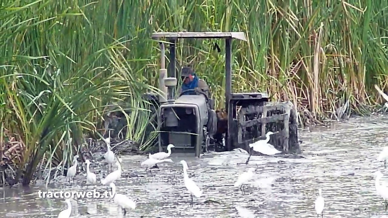 Massey Ferguson Power