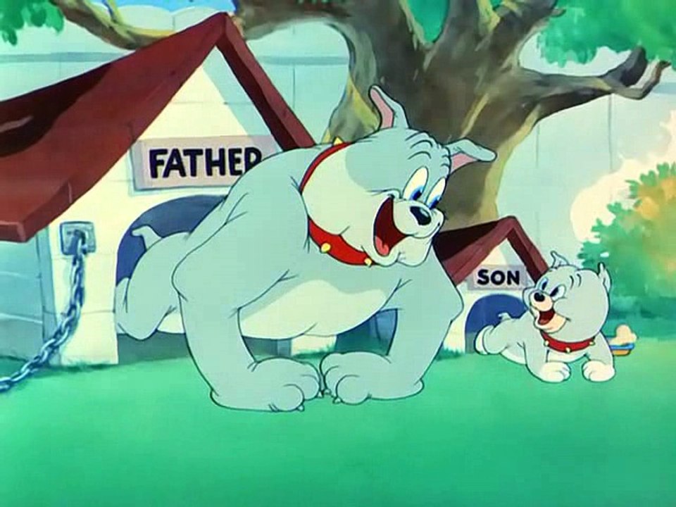 Tom & Jerry Love That Pup