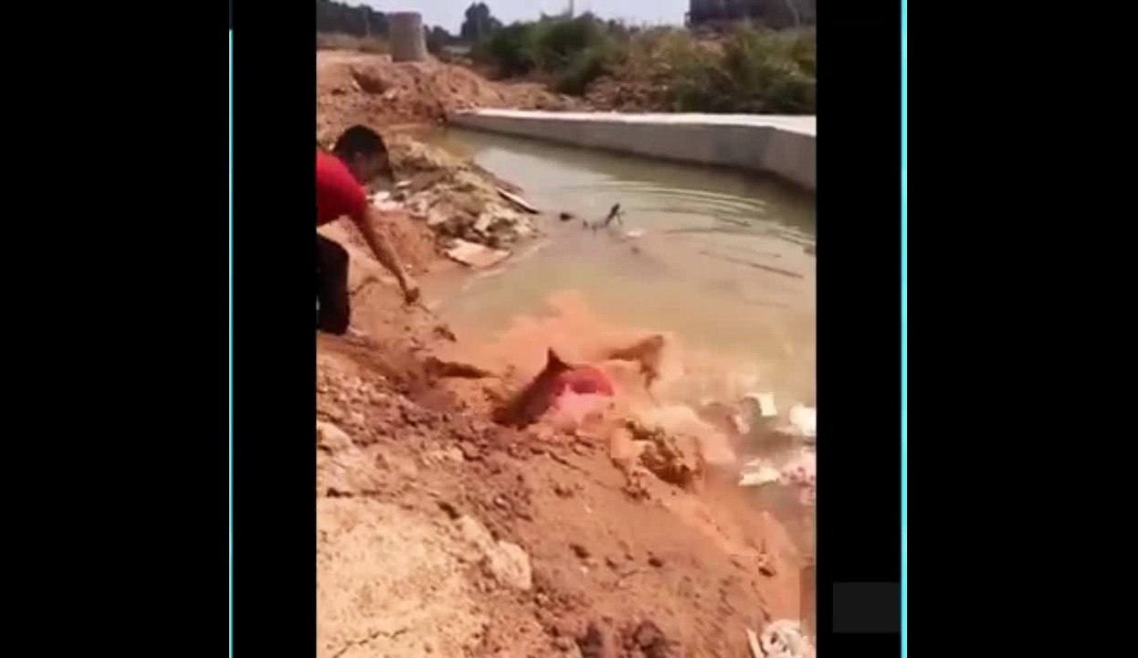 hard training of wrestlers