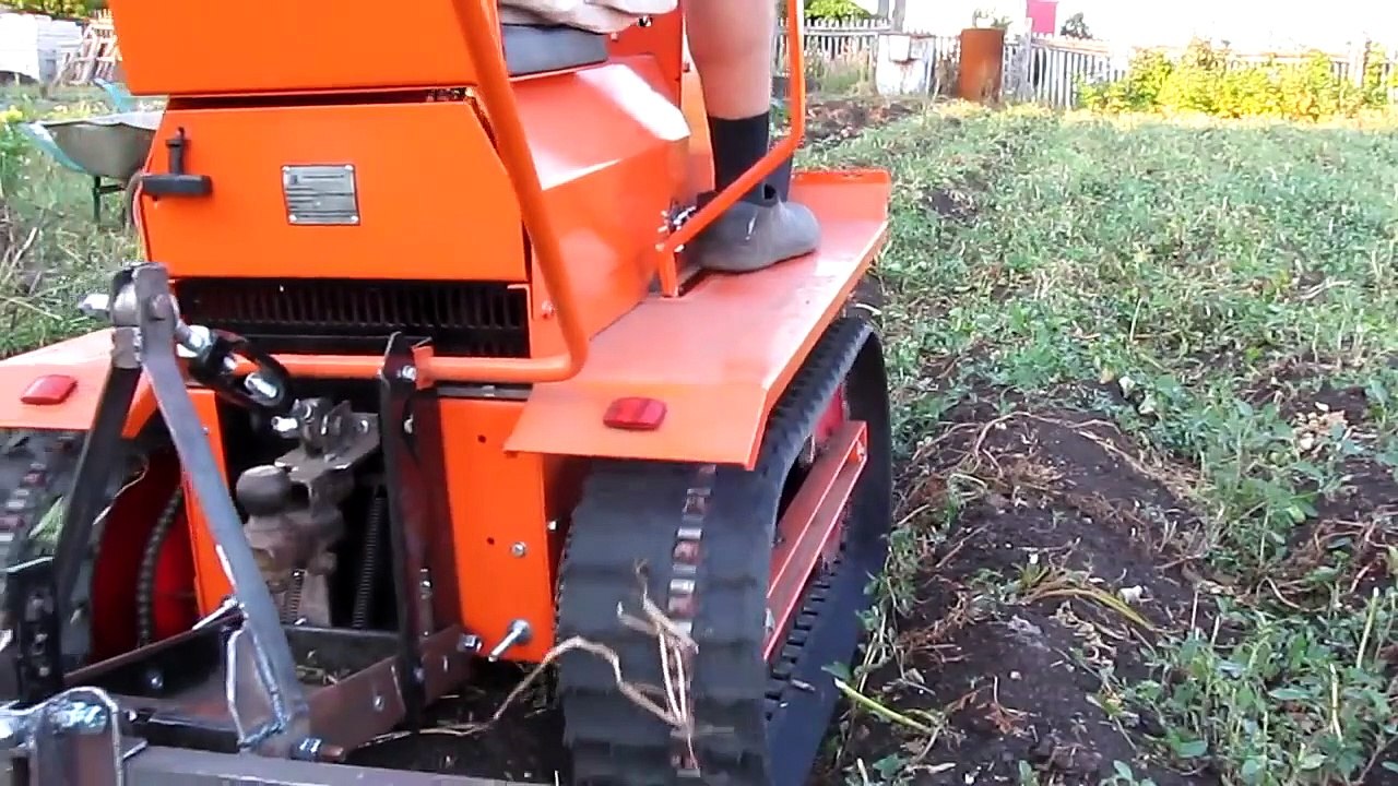 Potato Harvest