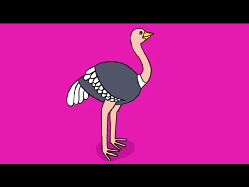 Apprends à dessiner un autruche en 3 étapes ! - Vidéo Dailymotion