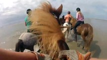 Horse Riding - Icelandic Horses for Kids