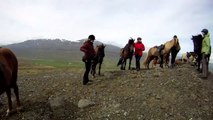 Horse Riding - Icelandic Horses for Kids