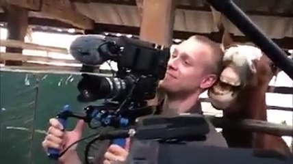WTF moment # 1
