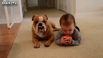 Cute Dogs and Babies Crawling Together - Adorable babies Compilation-IEEo5pIKeY0