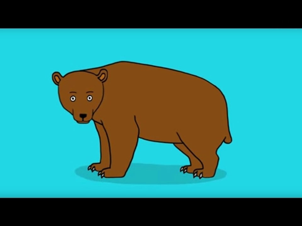 Apprendre a dessiner un ours