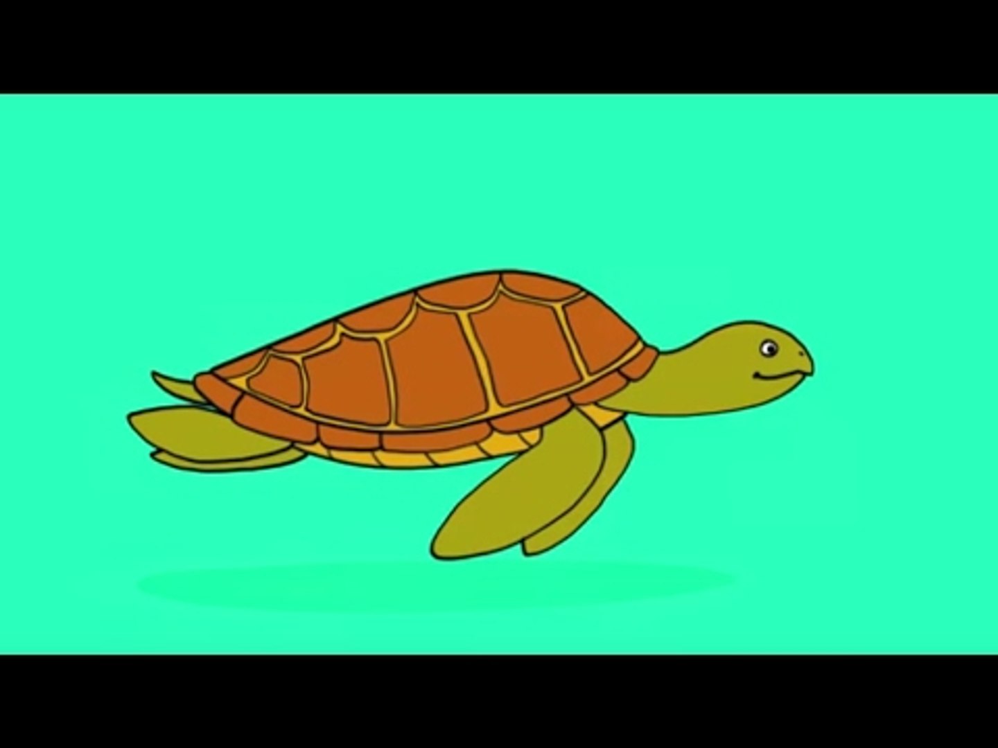 Comment Dessiner Une Tortue Facilement Apprendre à dessiner une tortue de mer - Vidéo Dailymotion