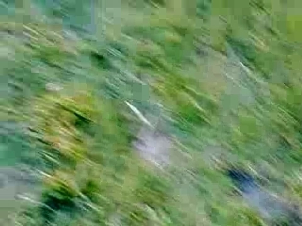 nitro Demo