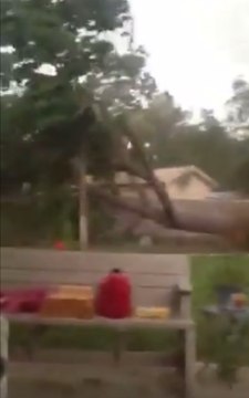 Storm Uproots Tree in Odessa, Texas