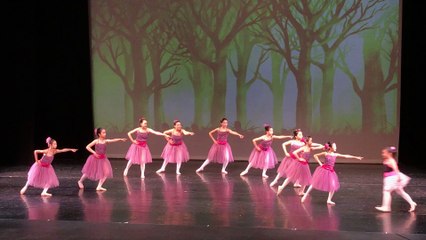 Elena's ballet performance, dancing with the youngest in school