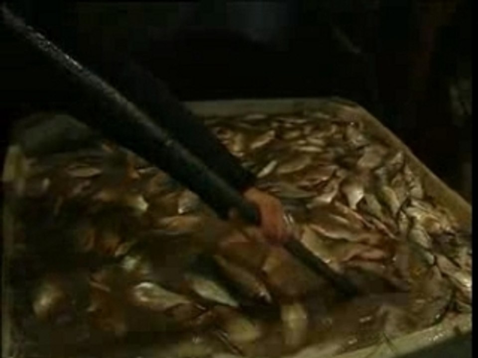 La mer d'Aral