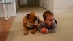 Cute Dogs and Babies Crawling Together - Adorable babies Compilation-IEEo5pIKeY0