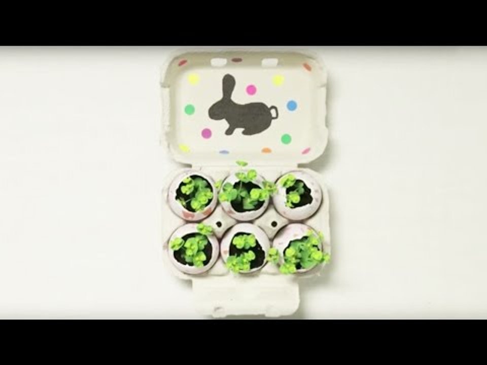 Fabriquer un mini-jardin de Pâques