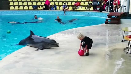 Un enfant joue au ballon avec un dauphin